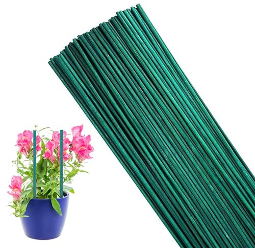 ADEPTNA 60PCS Bamboo Plant Support Sticks 60cm Durable & Strong Green Bamboo Canes Versatile Plant Stakes for Flowers, Climbing Plants, Vegetables, Orchids Smooth & Long-Lasting Floral Sticks