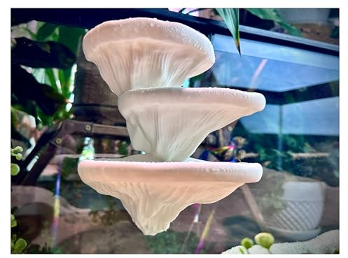 Mushroom Ledge for Terrarium – Climbing & Resting Platform with Suction Cups (Bone, 6''x4.5''x5.25'')