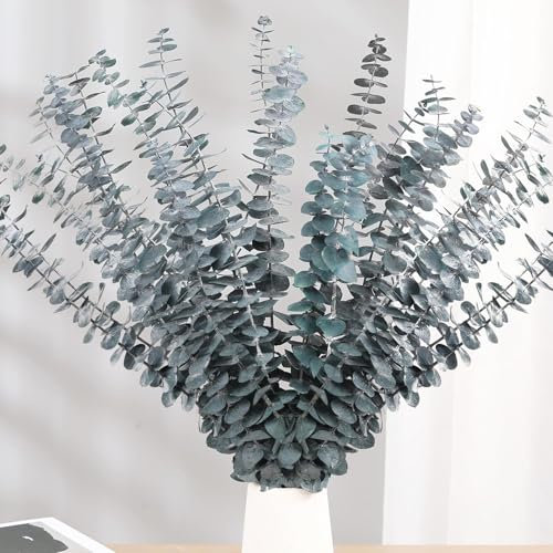 20 Pcs Eucalipto Preservado Naturales Flores Secas de 43cm, Planta de Eucalipto Verde Fresco Natural Hecha de Ramas de Hojas de eucalipto Reales para Decoración de Casas, Fiestas (Blue)