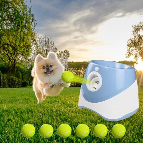 Máquina de Lanzamiento de Bolas para Perros con6 Pelotas de Tenis