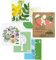 EKOH Swedish Dishcloths 12 Pack - Compostable Eco Sponge Cloths for the Kitchen - Paper Towel Alternative - Multipurpose Cleaning Cloths (Flowers on White, Botanical Flowers 12 pack)