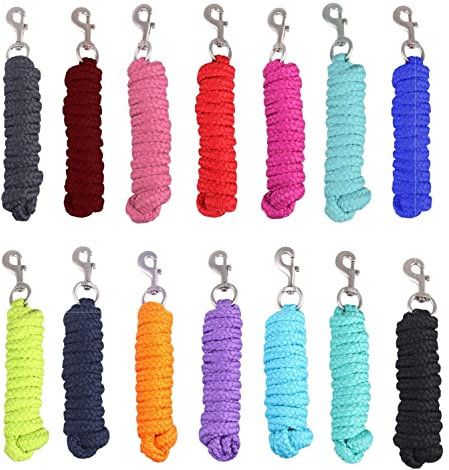 NETPROSHOP 2 Meter Führstrick mit robustem Karabinerhaken Anbindestrick Farbwahl, Farbe:Blau