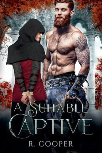 A Suitable Captive (The Suitable 'Verse, Band 3)