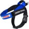 EZYDOG Express Hundegeschirr | Hundegeschirr für kleine, mittelgroße und große Hunde, abgewinkeltes, ergonomisches Design, geformter Griff, leicht zu lösende Seitenschnalle (L, Blau)