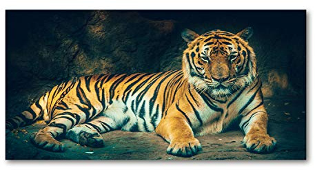 Tulup Impression sur Verre de 120x60 cm Image Tableau Photo décorative panoramique pour la Cuisine et Le Salon - Animaux - Un Tigre dans Une Grotte - Orange