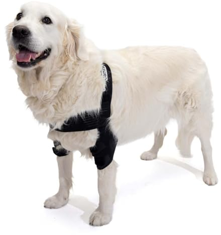 Ortocanis Ellenbogenorthese für Hunde mit Ellenbogenarthrose - Größe XL - Hygromen oder Schulterluxation.