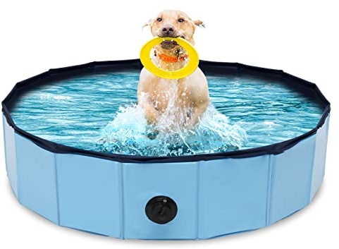 Daromigo Hundepool für Kleine Hunde 80x20cm Faltbar Hundepool Hundebadewanne HundePlanschbecken PVC Schwimmbad Verschleißfest Hunde Pool Blue