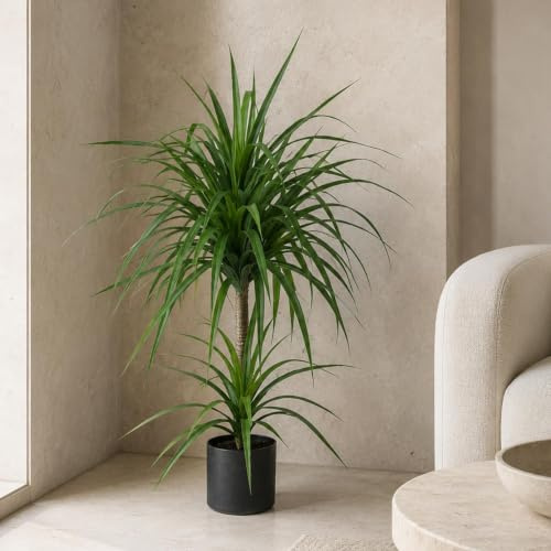 Leaf Design UK Artificial Yukka Tropical House Plant