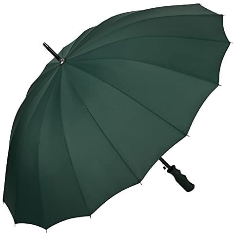 VON LILIENFELD® Regenschirm XL Sturmfest Auf-Automatik 2-Personen Schirmdurchmesser 103 cm 16 Segmente Colin grün