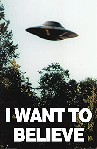 ASHER Gift I Want to Believe LS-214 Holz, matt, rahmenlos, Geschenk, 28 x 43 cm, mehrfarbig