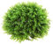 PETSOLA Graskugel Künstlich Buchsbaum Garten Deko Kunstpflanze Kugel Dekokugel Gras - Grün Eukalyptus, 34cm