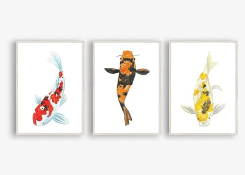 Din A4 Kunstdruck ohne Rahmen 3er Set - Bunte Kois - Koi Karpfen Fisch - Japan - Asien - Aquarell Druck Poster Bild