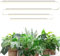 Barrina T5 2FT Grow Lights for Indoor Plants, Yellow Full Spectrum Sunlight, 40W(4 x 10W), LED Plant Lamps with On/Off Switch, Linkable, Greenhouse, Plug and Play, 4 Packs
