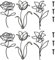 LuLobtg 6Pcs Metal Flower Wall Art Decoration, Wire Iron Rose Floral Wall Sculpture Decor, Black Flowers Hanging Decors for Patio Living Room Bathroom Dining Room Housewarming Gift