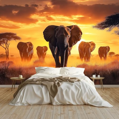 Générique Papier Peint Éléphants Des Prairies D'Afrique Papier Peint Panoramique Mural 400x280 cm Affiche Géante Décoration pour Salon Chambre Chambre D'Enfant Décoration Murale, Orange