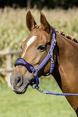 Busse Halfter KIANA-FLEECE diva blue (navy) Warmblut