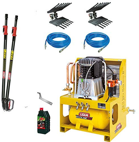 Lisam Kit Compressore/Abbacchiatore PTO per 2 Operatori
