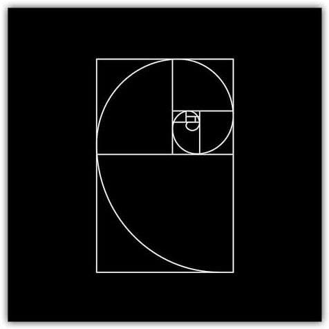 MOTIVISSO Fibonacci Spirale Poster - Kunstdruck Wandbild Wall Art Deko - Wohnzimmer Büro Flur - modern minimalistisch skandinavisch - schwarz/weiß, 30x30 cm