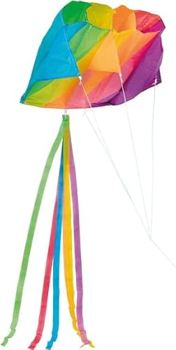 Fliegender Flügel 60x51 Pre12