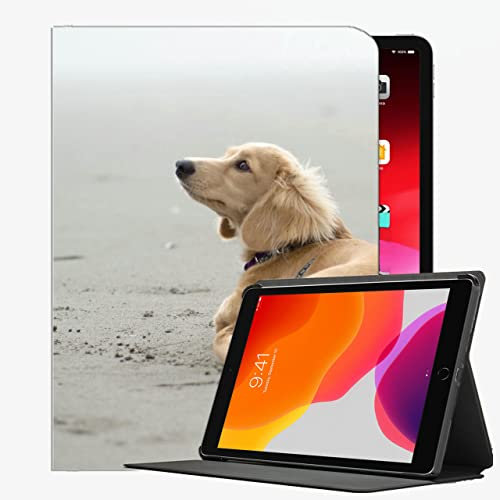YENDOSTEEN Hülle für iPad 9.7 5./6. Generation (2017/2018),iPad Air 2,iPad Air,Hundesand liegender Strand Automatischem Schlaf/Aufwach