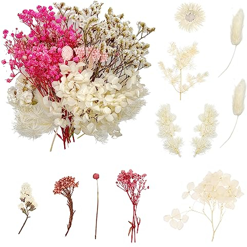 ANLIOTO Getrocknete Blumen, Trockenblumen zum Basteln, Trockenblumen Klein, Trockenblumen Weiß Rot, Trockenblumen Deko für Zubehör Handgemachte Heimdekoration Hochzeit