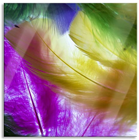 Pixxprint Glasbild, Wandbild auf Echtglas, Bunte Federn, 50x50 cm, inkl. Aufhängung und Abstandshalter