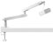 IXTECH Soporte de brazo de micrófono blanco de perfil bajo, soporte de micrófono ajustable con gestión de cables integrada, brazo de micrófono giratorio de 360°, modelo blanco lagarto