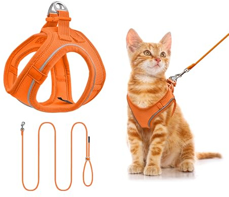 Katzengeschirr mit Leine 255cm XXXS Set, Reflektierend (Orange) | Brustgeschirr Für Katzen & Welpen, Atmungsaktives Mesh, Anti-Ausbruch, Weich, Für Spaziergang