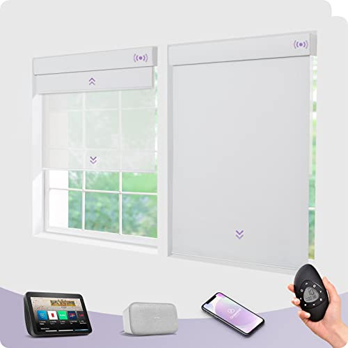 Motorized Smart Dual Roller Blinds for Window Easy Remote Control Blackout & Sheer Compatible with Alexa & Google Rechargeable White