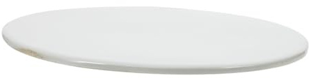 Alipis Piatto in Ceramica Grezzo Rotondo 20 Cm Bianco Finitura Fai da Te per Pittura Creativa Regalo Artisti e Appassionati di Artigianato Ceramico Decorativo