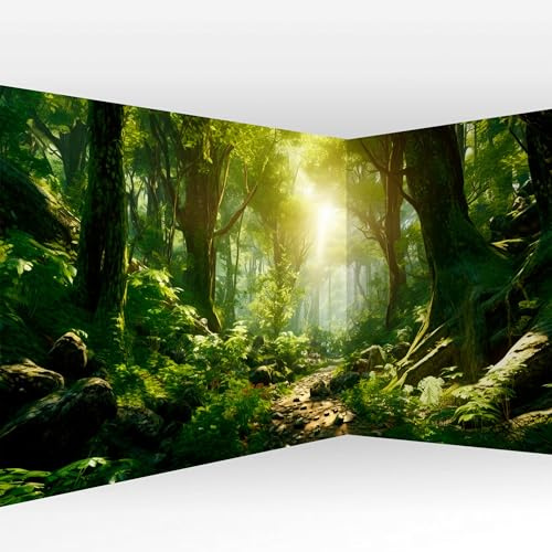 murando - Fototapete Vlies Wald Landschaft, 550x250 cm, Schlafzimmer | Full HD Druck, 3D-Effekt, lichtbeständige Farben, ideal fürs Wohn- oder Schlafzimmer, schnelle Montage, lichtbeständig, edel