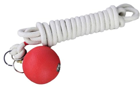 SVCEQZE Marteau pour sports de combat, marteau de fitness, marteau de fléchettes, entraîneur de fléchettes en corde, ampoules en caoutchouc, corde d'exercice, fléchettes, équipement de fitness pour