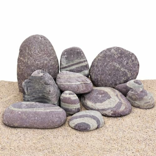 AquaOne Aquariumsteine Purple Cloud Stein I Naturstein 1 Stück Gr. L 1,3-1,7 kg I Natursteine für Aquascaping und Naturaquarien mit besonderer Farbzeichnung