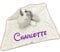 KIDDI-MEDIA Baby Kuscheltuch mit Namen Bestickt (kein Druck) / wunderschöne 3D Motive zur Auswahl - ideal als Schnuffeltuch und Trösterchen (Einhorn/Weiss-Grau)