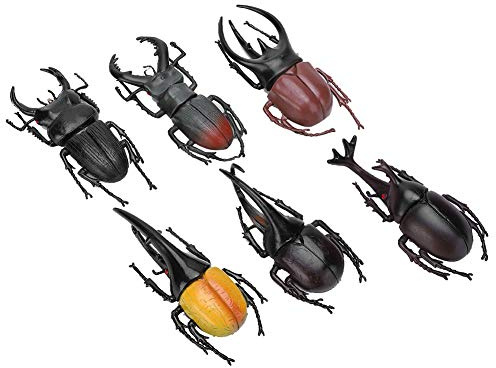 Zerodis 6 pièces modèle de Simulation de scarabée Licorne dorée Ornements de scarabée de Fer Jouet délicat Non Toxique PVC Insecte Jouet Cadeau pour garçons et Filles(Noir)
