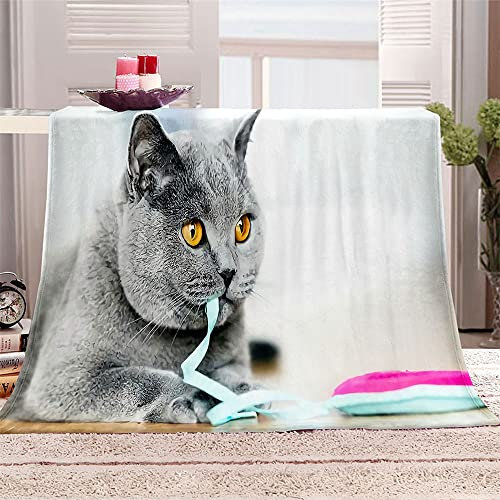 FANSU Kuscheldecke Flauschig Flanell Decke, 3D Drucken Microfaser Weich Warm Plüsch Fleecedecke Sofadecke Couchdecke Wohndecke Bettdecke Tagesdecke (Graue Katze,100x150cm)
