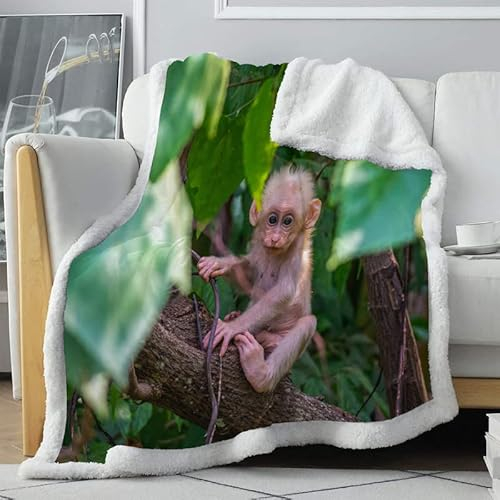 loyaltyer Kuscheldecke SüßEr AFFE Decke Furry Weiche Warme Flauschige Geschenk für Junge Mädchen Sherpa Decke als Reisedecke Sofadecke Couchdecke Bettdecke (70 x 100 cm)