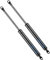 ARANA Universal Gas Struts, 350MM 100N Gas Springs Absorber Shock Replacement for Ottoman Bed Heavy Duty Boat Cover Hatch Lid Tool Toy Wooden Storage Box Window and DIY Scene, (M8 Heads 8mm Eyelet),2X