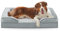 FURTIME Orthopädisches Hundebett für mittelgroße Hunde – waschbares Hundesofa, mittelgroß, stützendes Schaumstoff-Haustier-Couch-Bett mit abnehmbarem, waschbarem Bezug, wasserdichtem Futter und