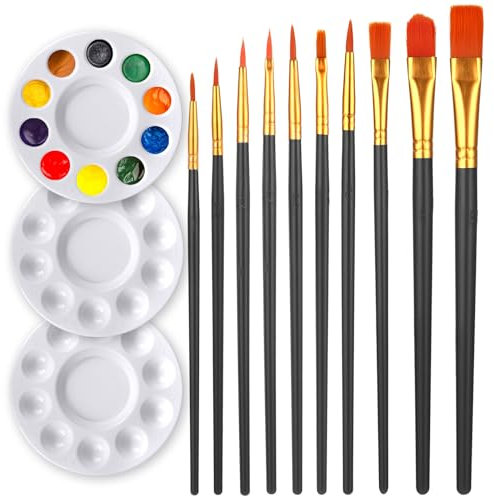 Paint Brushes Palette Set Round Paint Tray Palettes Nylon Hair Brushes Paintbrushes 10 Pcs Acrylic Paint Brushes and 3 Pcs Plastic Paint Palettes Pallets Paint Brushes for Drawing and Art Supplies