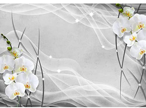 Runa Art Papier peint intissé Mural fleurs d'orchidée 3d Moderne Toison Salon Chambre à Coucherr Salle - Tableaux Muraux Tapisserie Photo - Noir et blanc 9322010c