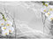 Runa Art Fototapete Blumen Orchidee 3d Modern Vlies Wohnzimmer Schlafzimmer - Made in Germany - 308 x 220 cm Schwarz Weiss 9322010c