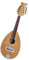 Mandolina Instrumento musical mandolina profesional
