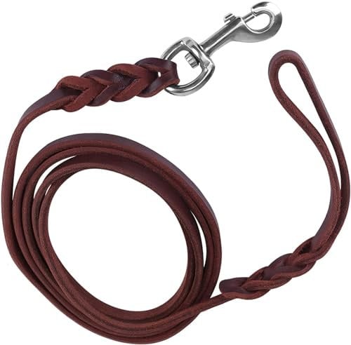 HuaDmaing Leather Dog Leash 4.9ft/1.5m - Heavy Duty Training Lead,Rotating Clasp - Anti-Pull, Braided Handle for Large/Medium/Small Dogs, Tangle-Free & Hair-Resistant (Brown)
