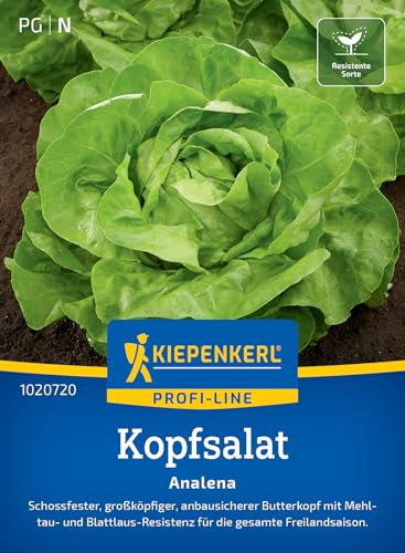 Kiepenkerl Profi-Line Kopfsalatsamen Analena 1020720 - Salatsamen für einen schossfesten und großköpfigen Kopfsalat mit Inhalt für 120 Pflanzen - Saatgut
