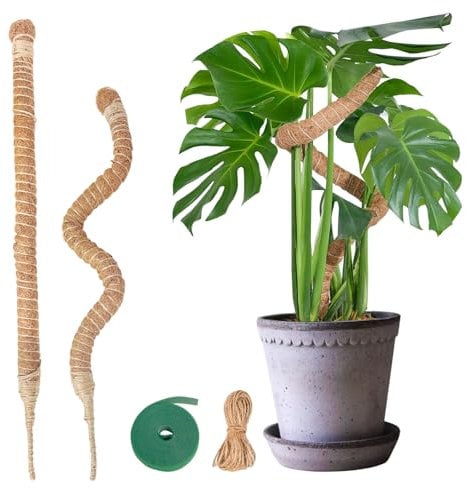 QQdou Bendable Moss Pole for Plants, 2 x 23.6 Inch/60 cm Monstera Supports, Handmade Plant Sticks Support for Indoor and Creeper Climbing Plants Grow Upwards, Slim Coco Coir Pole Plant Stakes