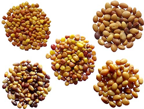 Offre Trèfle n° : 5 Variétés de Trèfles - 5 Sachets de 3 grammes - (Engrais vert)