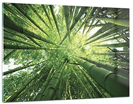 Wandbilder Dekoration Wohnzimmer Bambus Dschungel Grün Bilder auf Glas 120x80cm Glasbild Schlafzimmer Küche Deko Wand Kunstdruck Art Groß XXL Wanddeko Bild im Glas Modern Wall Decor GAA120x80-4235