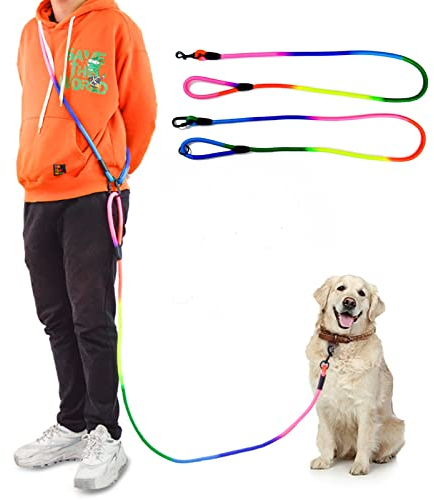 JOPOY Freihändige Hundeleine (3 m) – Starke Hundetrainingsleine, 1 cm Dicke Nylon-Doppelleine für kleine, mittelgroße und große Hunde, Service, Gehen, Laufen (Regenbogen, 3m)