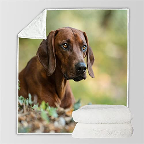 Kuscheldecke Kinder 70x100 cm Hund Decke Flauschig 3D Rhodesian Ridgeback Wohndecke Weiche Mikrofaser Flanell Decke für Junge Mädchen Fleecedecke Sofadecke Couchdecke Tagesdecke